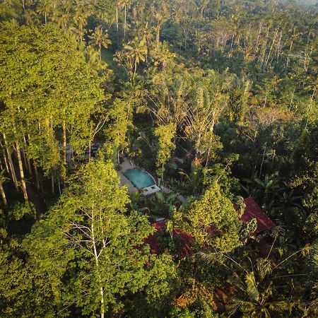 Daydream Lodge Tampaksiring Экстерьер фото