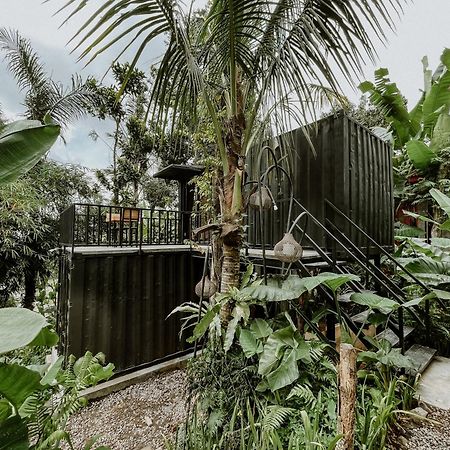 Daydream Lodge Tampaksiring Экстерьер фото
