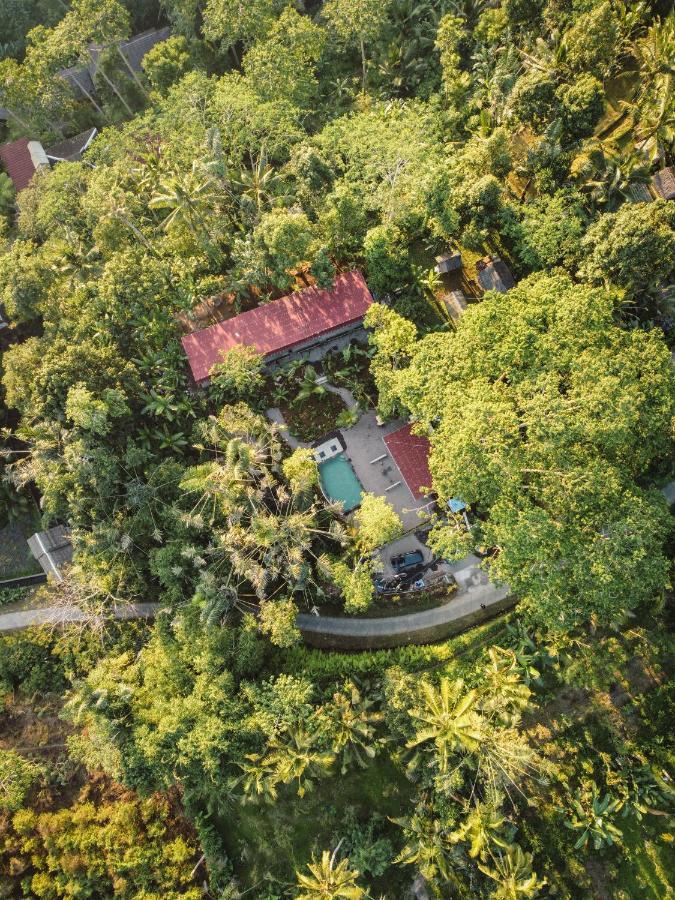 Daydream Lodge Tampaksiring Экстерьер фото