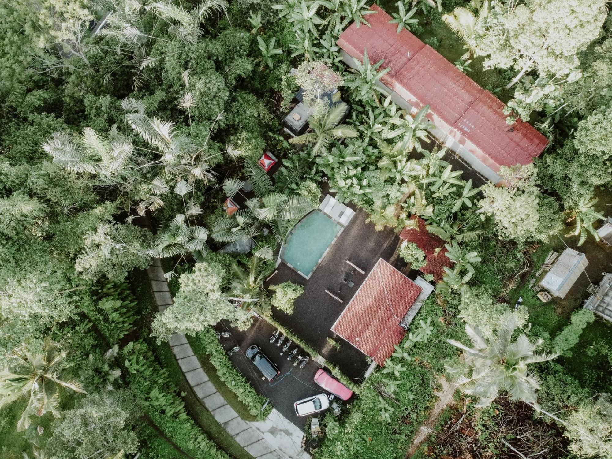 Daydream Lodge Tampaksiring Экстерьер фото